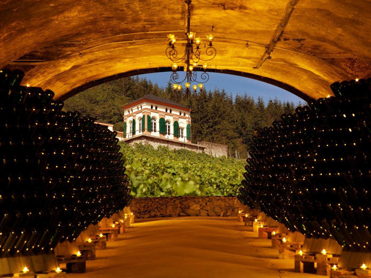 Weinromantikhotel Richtershof Mulheim an der Mosel Luaran gambar