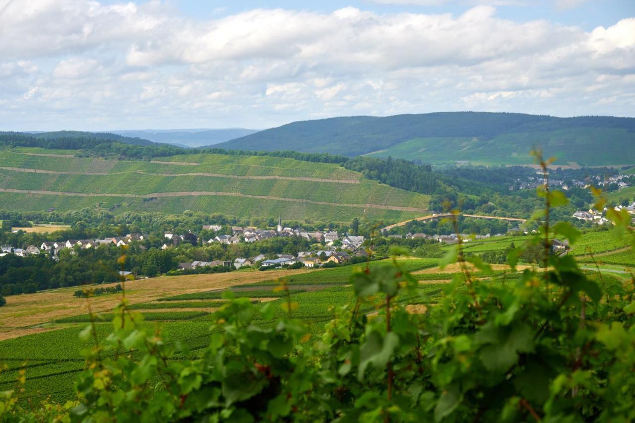 Weinromantikhotel Richtershof Mulheim an der Mosel Luaran gambar